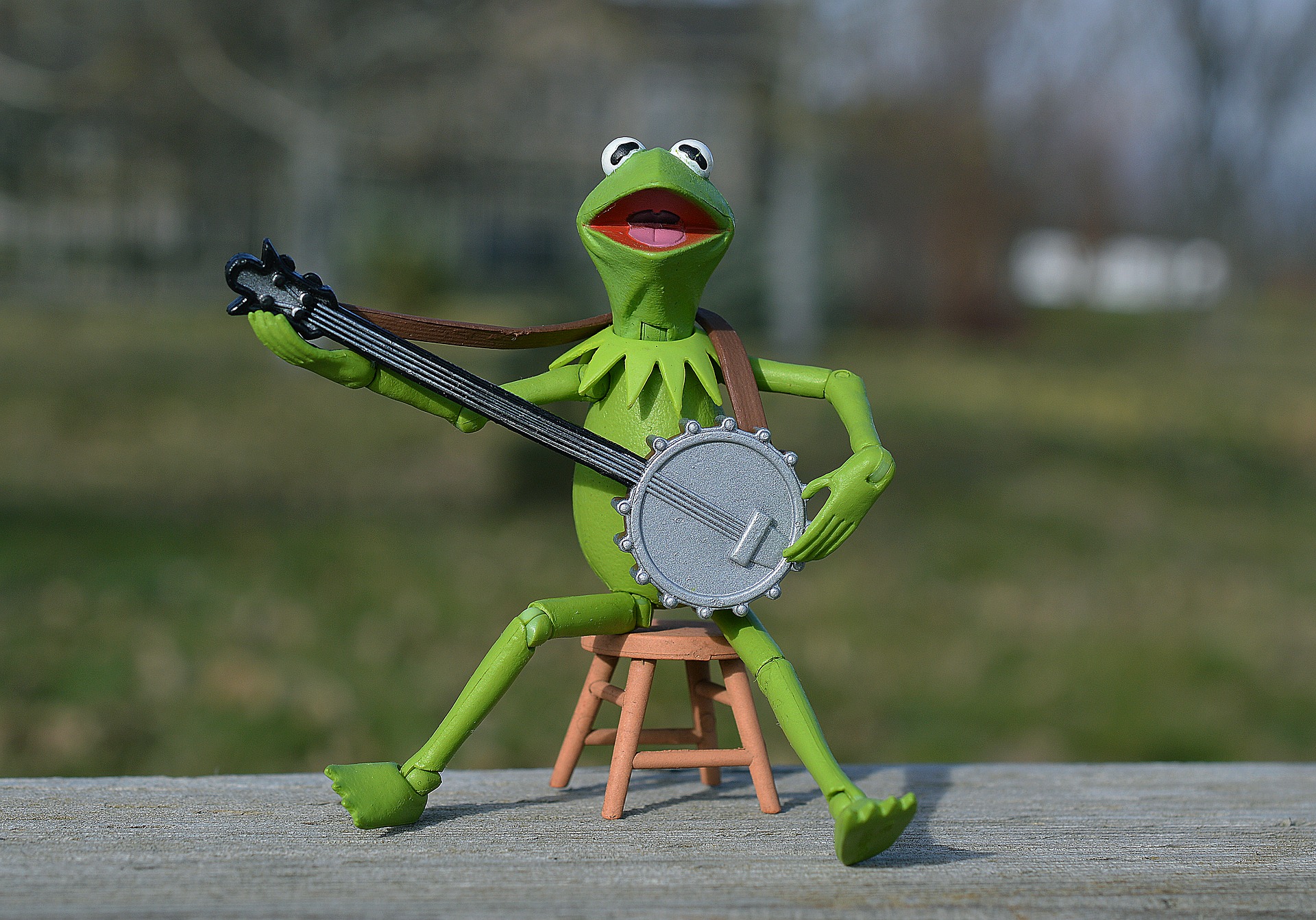 kermit-1784902_1920