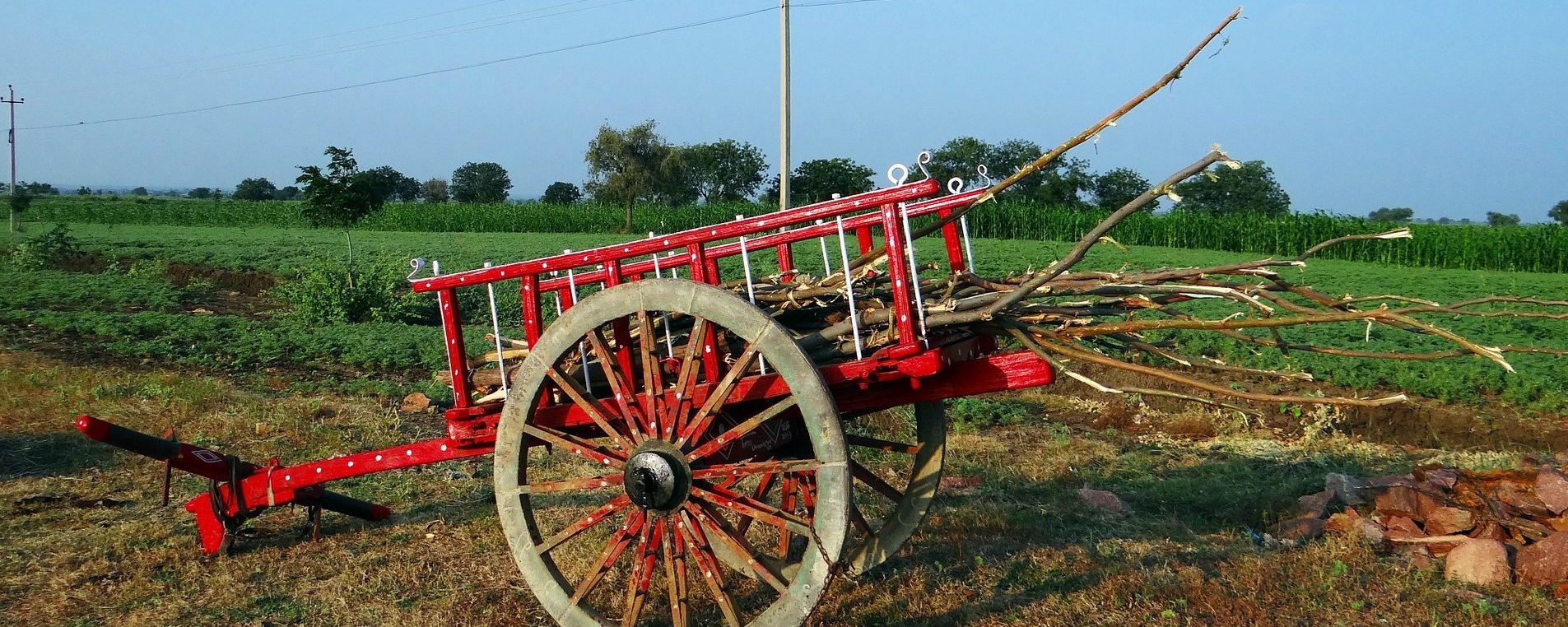 Celebrating the Onset of the Spring Season — Pongal